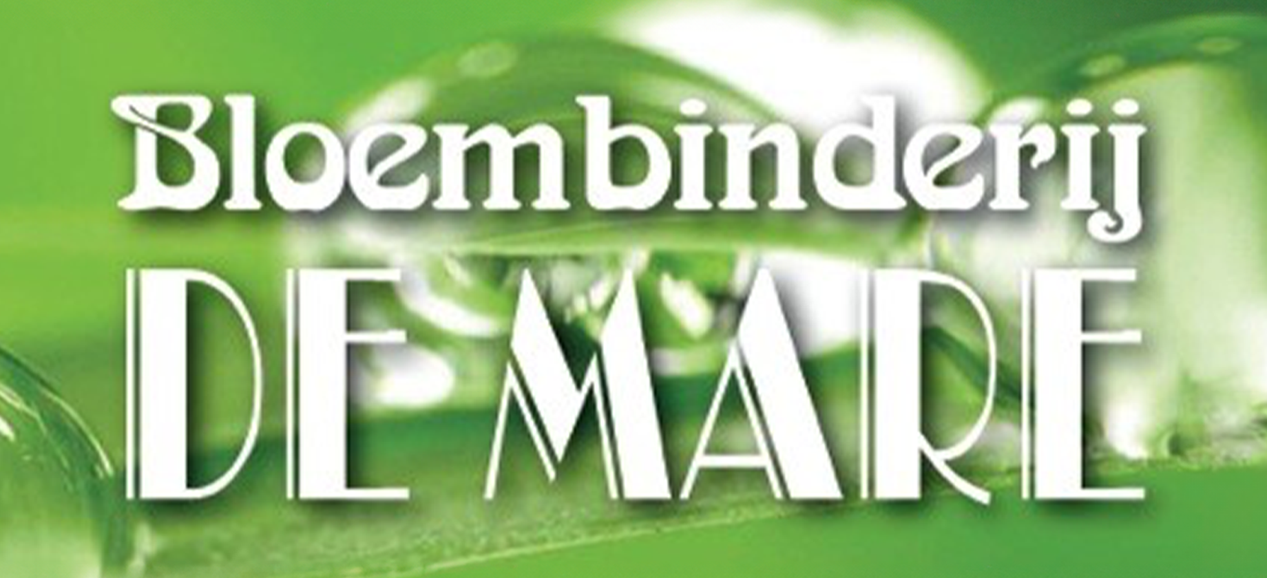 Naar de startpagina